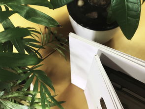 成都百鉑文化 專業(yè)畫冊(cè)制作與產(chǎn)品宣傳冊(cè)定做服務(wù)